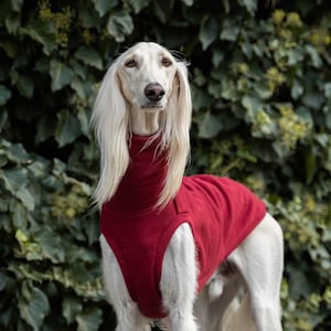 90% cotton Sweatshirt for the big sighthound. Saluki, sloughi, galgo, sighound image 1