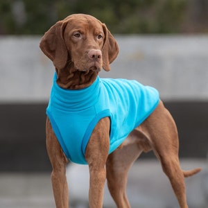 90% cotton - Premium comfortable sweatshirt for Vizsla - clothes for big dogs - BLUE