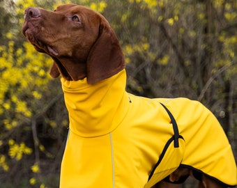 Softshell Big Dog Coat – Waterproof Jacket for Vizsla & German Pointer, Reflective, Yellow