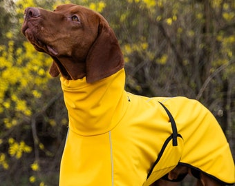 Softshell - Coat for Vizsla with Reflectors - vizsla clothes - Yellow