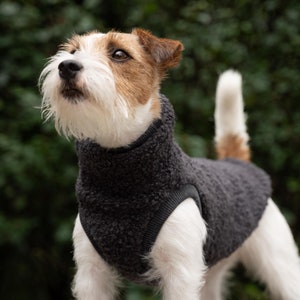 75% wool - Premium sweatshirt for small dogs, comfortable and warm - many sizes - GRAPHITE