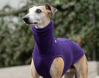 90% cotton - Sweatshirt for Whippet - whippet clothes - PURPLE