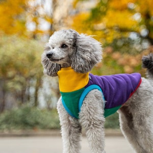 90% cotton - Sweatshirt for Dog - dog clothes - COLORFUL