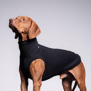 90 % Baumwolle Hundebekleidung – Vizsla & Deutscher Vorstehhund Pullover, Großer Hundepullover, Schwarz