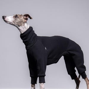 Mono para Whippet 90% Algodón – Mono para Whippet Clothing, Mono para Lebrel, Negro