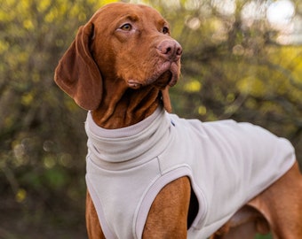 100 % Baumwolle – Sweatshirt für Vizsla – Hundekleidung – Beige