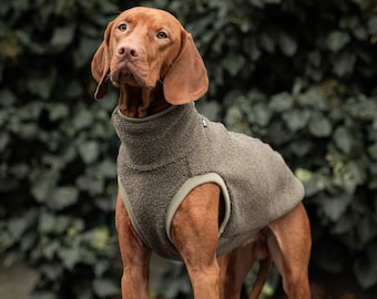 42% wool - Sweatshirt for Vizsla - dog clothes - KHAKI