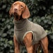 see more listings in the Vizsla Clothes section