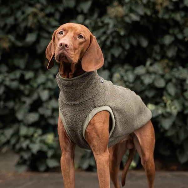 42% laine - Sweatshirt pour Vizsla - vêtements pour chiens - Kaki