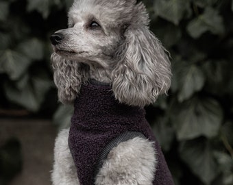 42 % laine - Sweat-shirt pour chien - vêtements pour chien - VIOLET