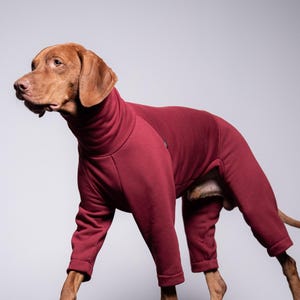 90% Cotton Dog Clothes – Vizsla & German Pointer Jumpsuit, Big Dog Onesie, Burgundy