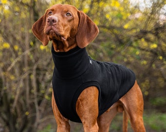 90% Baumwolle - Sweatshirt für Vizsla - Hundebekleidung - Schwarz