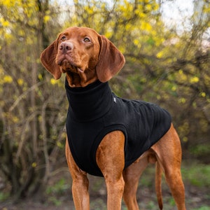 90% cotton - Premium clothes for big and small dogs, sweatshirt for Vizsla, dog clothing - Black sweatshirt