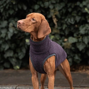 42% wool Sweatshirt for Vizsla dog clothes PURPLE image 1