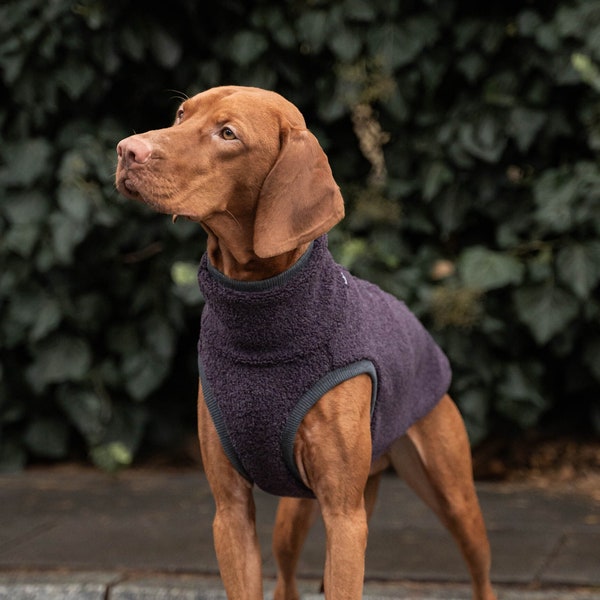 42% wool - Sweatshirt for Vizsla - dog clothes - PURPLE