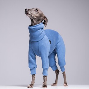 Op de afbeelding: Een slanke, grijze hond met een lichtblauwe jumpsuit met een coltrui. De hond staat op een wit oppervlak en kijkt omhoog. De jumpsuit bedekt het lichaam en de poten van de hond, met geribde manchetten bij de enkels en polsen.
