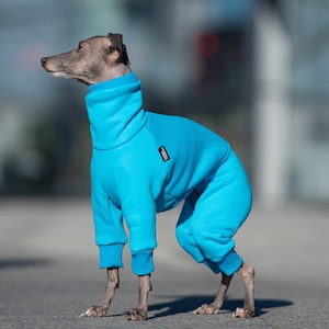 90% cotton - Best italian greyhound clothing , comfortable Jumpsuit for iggy - Turquoise