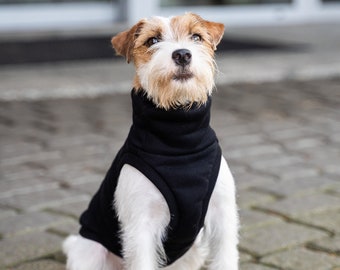 90% cotton - Sweatshirt for Dog - dog clothes - BLACK