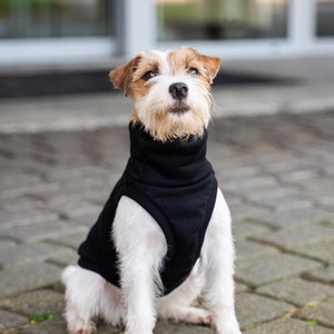Jack russel clothes Etsy France