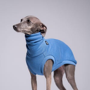90% Cotton Iggy Jumper – Italian Greyhound Clothing, Blue