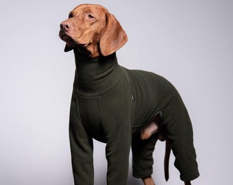Polar PRO - Comfortable, one-piece jumpsuit for Vizsla, dog clothes - KHAKI