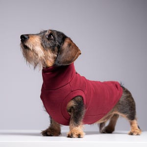 Suéter para perro salchicha 90 % algodón, color burdeos