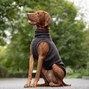 75% wool - Premium comfortable sweatshirt for Vizsla - clothes for big dogs - GRAPHITE