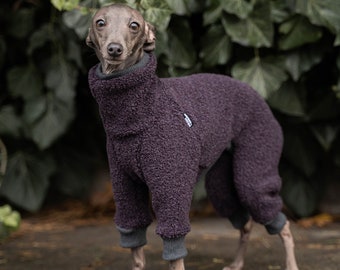 42% wool - Jumpsuit for iggy - italian greyhound clothing - PURPLE