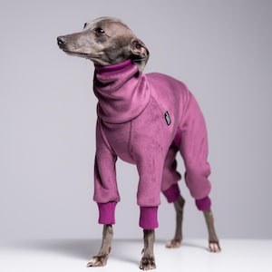 Peut inclure: Un lévrier italien gris portant une combinaison en polaire magenta avec un col roulé et des poignets côtelés. Le chien est debout sur une surface blanche sur fond gris clair.