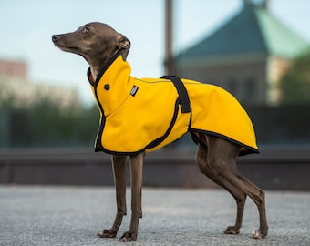 Softshell - Coat for Iggy with reflectors - italian greyhound clothes - yellow