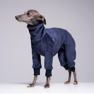 Peut inclure: Un petit chien portant une combinaison en velours bleu marine avec un col montant et des poignets côtelés. Le chien se tient sur une surface blanche devant un fond gris. La combinaison couvre le corps et les pattes du chien.