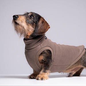 90% Cotton Dachshund Jumper – Sausage Dog Sweater, Doxie Clothes, Cappucino