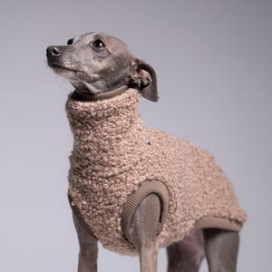 75% Wool Iggy Jumper – Italian Greyhound Clothing, Beige