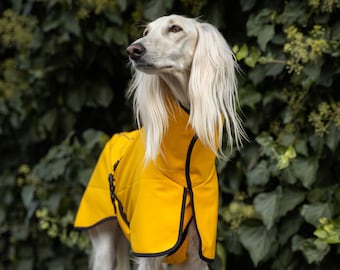 Wasserdichte Softshell-Jacke mit Reflektoren - stilvoller Schutz für große Windhunde. Saluki, Sloughi, Galgo