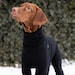 see more listings in the Vizsla Kleidung section