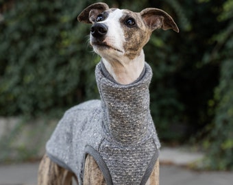 68% wool - Sweatshirt for Whippet - whippet clothes - GREY