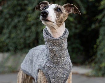 68% Wolle - Sweatshirt für Whippet - Whippet Kleidung - GRAU