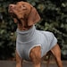 see more listings in the Vizsla Clothes section