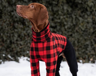 90% cotton - Jumpsuit for Vizsla - dog clothes - RED/BLACK