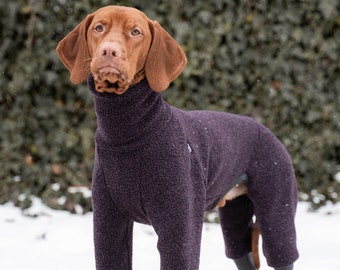 42% wool - Jumpsuit for Vizsla - dog clothes - Purple