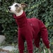 see more listings in the Whippet Clothes section