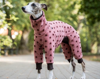 25% wool! Premium Jumpsuit for Whippet - Excellent Protection and Exquisite Style in One. Whippet clothing