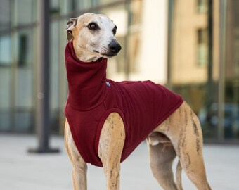 90% cotton - Sweatshirt for Whippet - whippet clothes - MAROON