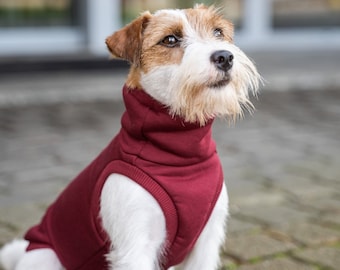 90% cotton - Sweatshirt for small and big dogs