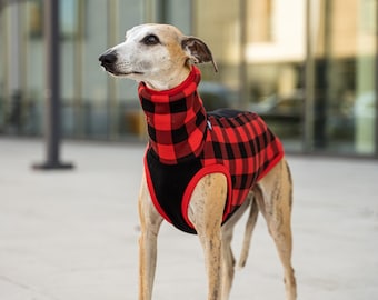 90% cotton - Sweatshirt for Whippet - whippet clothes - RED/BLACK