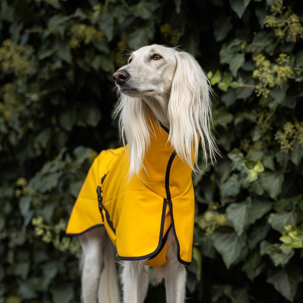 Wasserdichte Softshell-Jacke mit Reflektoren - stilvoller Schutz für große Windhunde. Saluki, Sloughi, Galgo