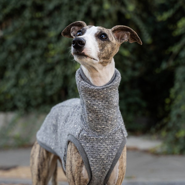 68 % laine - Sweat-shirt pour whippet - vêtements pour whippet - GRIS