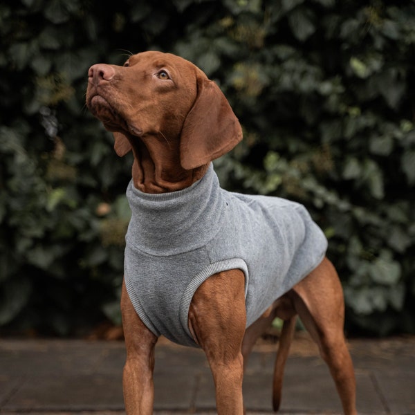 Fleece PRO - Sweatshirt für Vizsla - Hundebekleidung - Grau