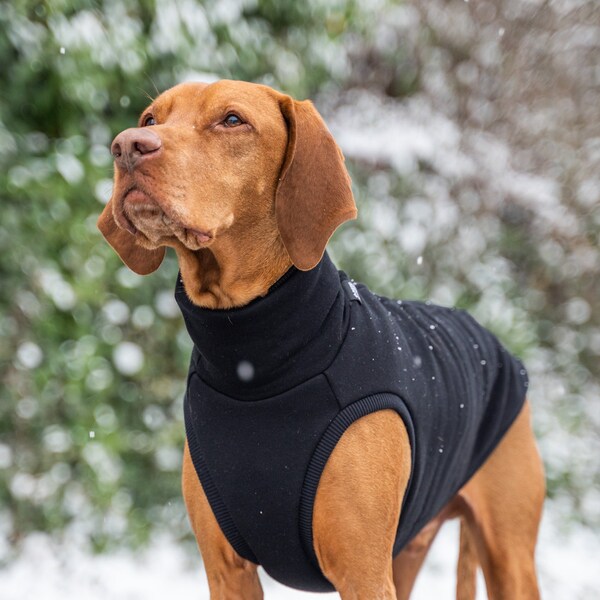 90% cotton - Sweatshirt for Vizsla - dog clothes - Black