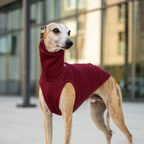 90% cotton - Sweatshirt for Whippet - whippet clothes - MAROON
